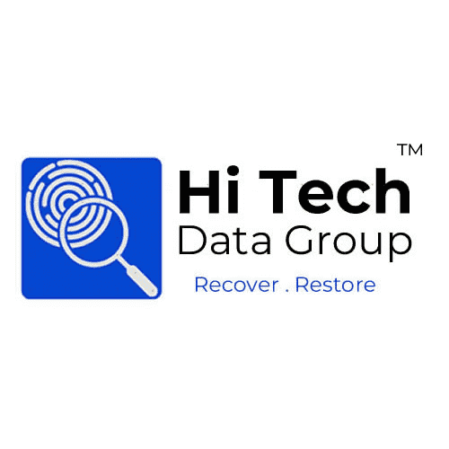 Hi Tech Data Group Logo 2024